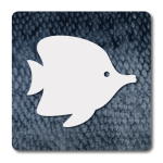 Cours de Certification Plongeur Identification de Poissons