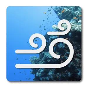 PADI Drift Dive Certification Course