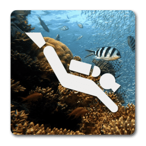 Padi Scuba Diver Certification Course