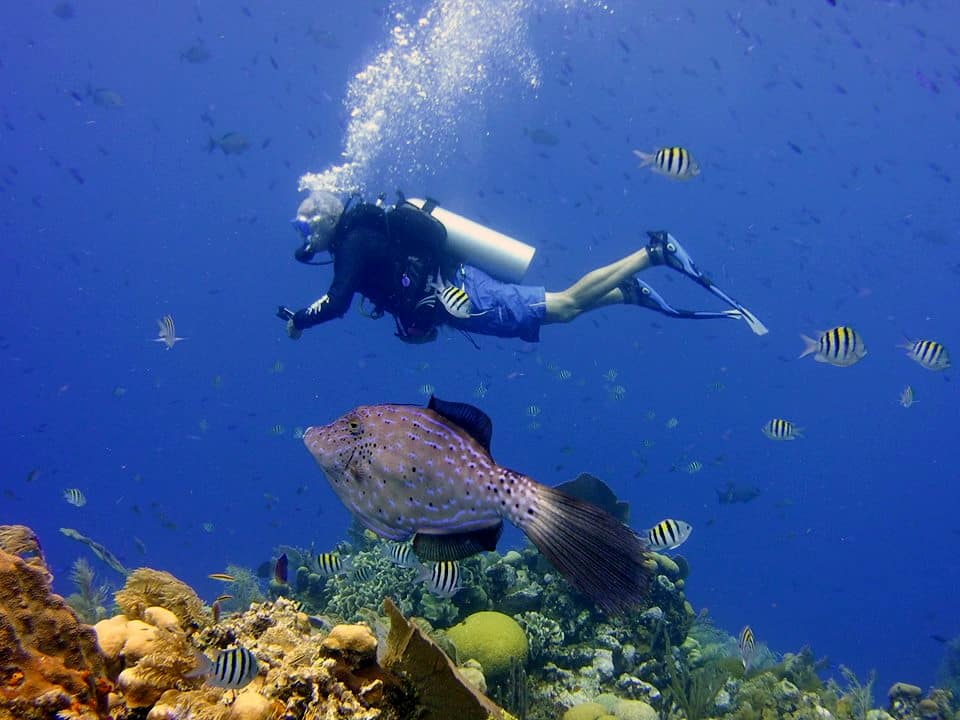 padi-advanced-open-water