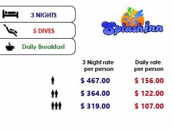 banners paquetes web 3x5