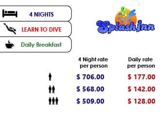 banners paquetes web LEARN TO DIVE