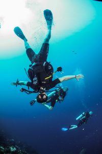 roatan diving